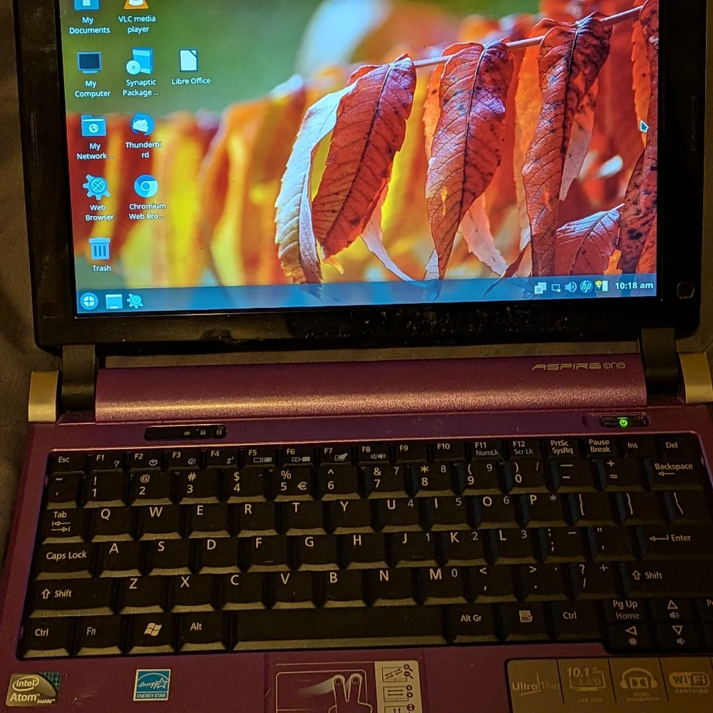 Acer Vibrant Purple Laptop